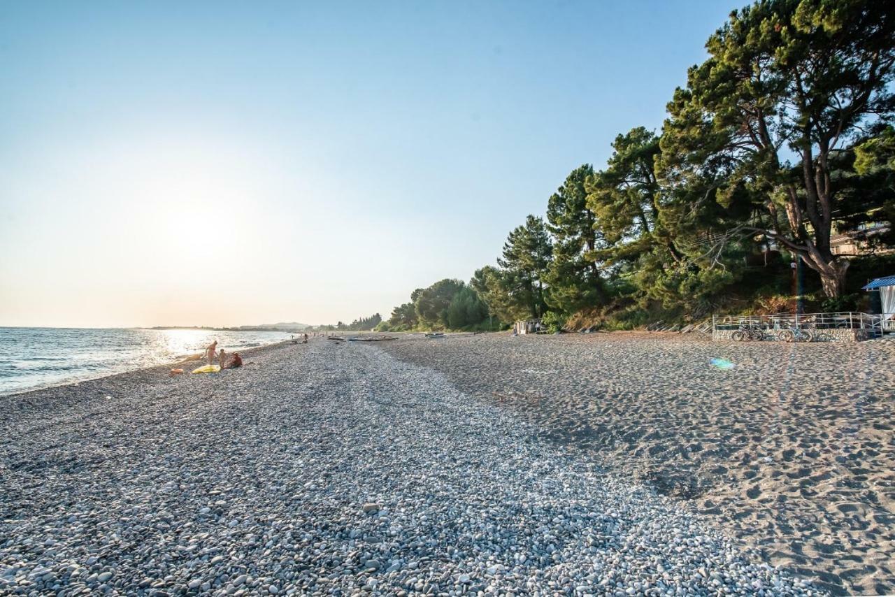 تساندريبش Park-Hotel Abkhazia المظهر الخارجي الصورة